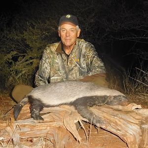 African Honey Badger Hunt South Africa