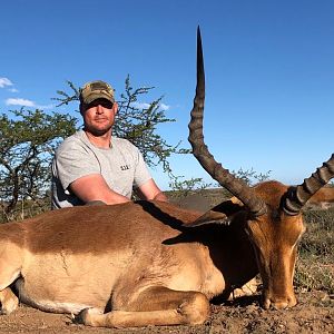 Hunt Impala in South Africa