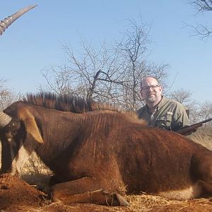 Hunting Sable in South Africa