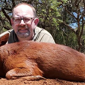 South Africa Hunting Red Duiker
