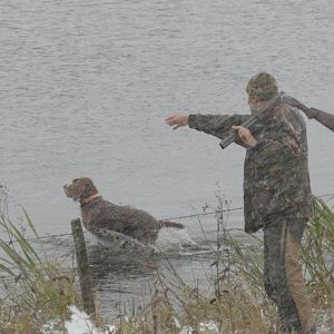 Hunting Ducks in Canada