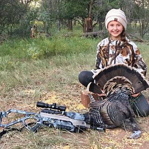 Texas USA Hunting Turkey
