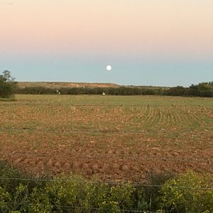 Texas USA Hunt