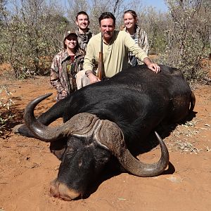 Cape Buffalo Hunt South Africa