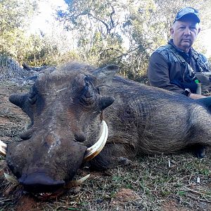 Hunt Warthog in South Africa