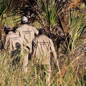 Mozambique Hunt