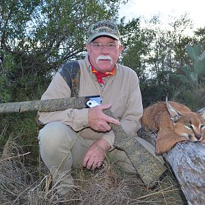 Caracal Hunting South Africa