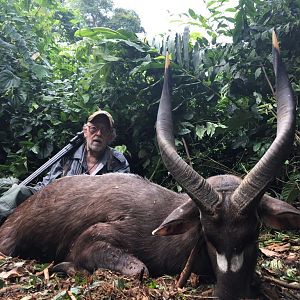 Hunt Bongo in Cameroon