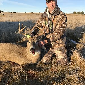 Montana USA Hunt White-tailed Deer