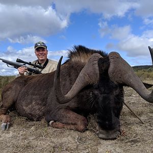 Black Wildebeest Hunting South Africa