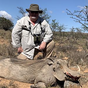 Warthog Cull Hunt South Africa