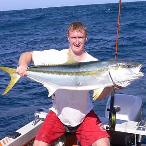 South Africa Fishing Yellowtail Amberjack