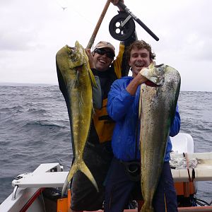 Fishing Dorado in South Africa
