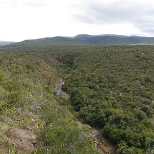 Hunting Area in South Africa