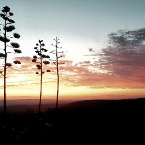 Sunset South Africa