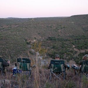 Hunt in South Africa