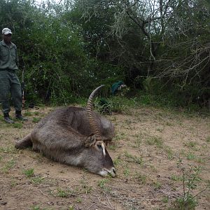 South Africa Hunt Waterbuck