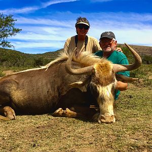 Hunting Kings Wildebeest in South Africa