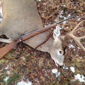 Hunt White-tailed Deer in Canada