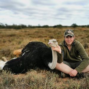 Ostrich Hunt South Africa