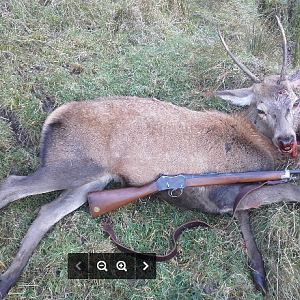 Deer Hunting New Zealand