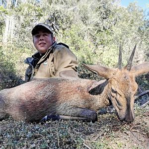 Duiker Hunting South Africa