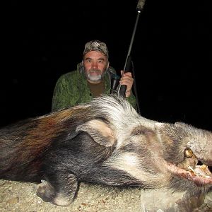 South Africa Hunt Bushpig