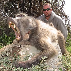 Hunting Baboon in South Africa