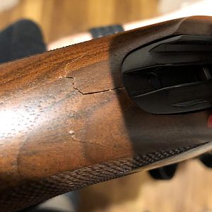 Sako cracked Walnut stock (too close to my face for comfort)