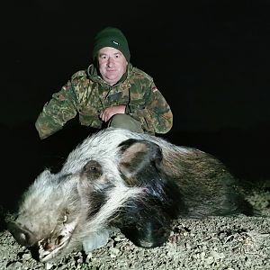 Namibia Hunt Bushpig