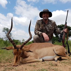 Impala Hunt South Africa