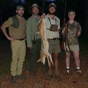 South Africa Hunt Jackal