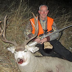 Hunting Mule Deer in USA