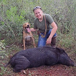 USA Hunting Hog