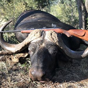 Cape Buffalo Hunt outh Africa