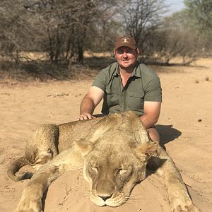 Hunt Lioness in South Africa