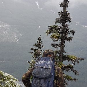 Mountain Goat Hunt Canada