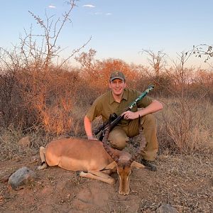 Impala Hunt South Africa