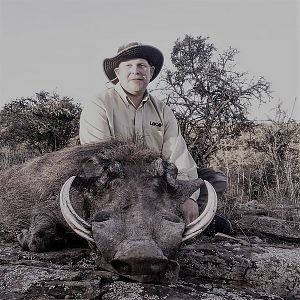 Hunt Warthog in South Africa