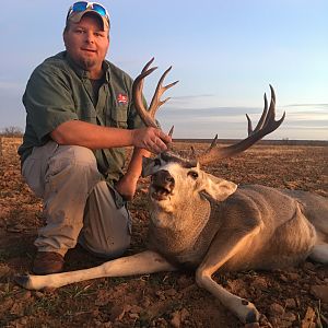 Texas USA Hunt Mule Deer
