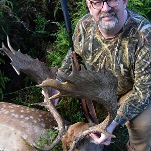New Zealand Hunting Fallow Deer
