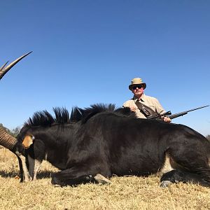 Hunting Sable Antelope in South Africa