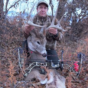 White-tailed Deer Bow Hunt Montana USA