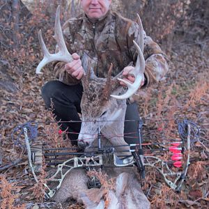Bow Hunting White-tailed Deer Montana USA