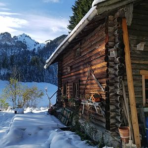 Hunting Cabin in Germany