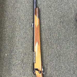 460 WBY Weatherby Custom Rifle