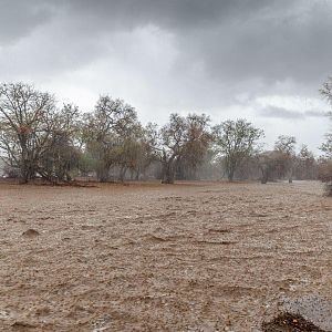 Huab river valley in Namibia receiving some rain