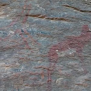 Bushmen cave paintings Namibia