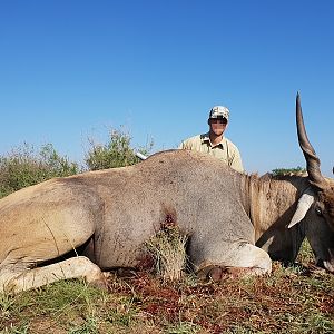 South Africa Hunting Eland