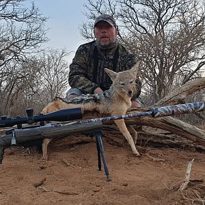 Hunt Jackal in South Africa